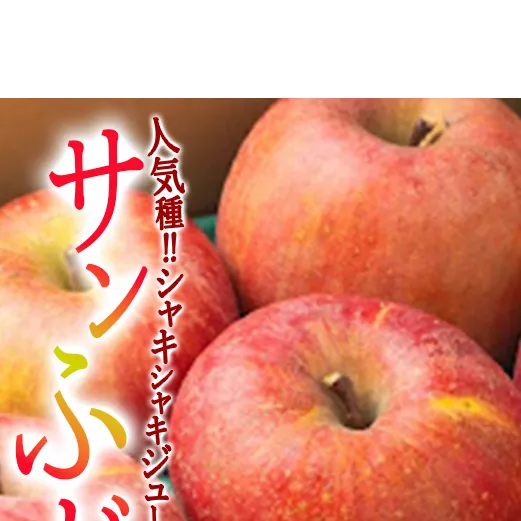 りんご サンふじ 家庭用 〜 訳あり 10kg エバラ農園 減農薬栽培 2025年11月中旬頃から2026年1月上旬頃まで順次発送予定 令和7年度収穫分 信州 果物 フルーツ リンゴ 林檎 長野 20000円 予約 農家直送 長野県 飯綱町 [1818]