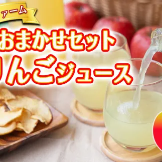 りんごジュース 1000ml × 2本 庚申山荘ファーム 沖縄へは配送不可 お申込み順に発送予定 長野県 飯綱町 [1792]