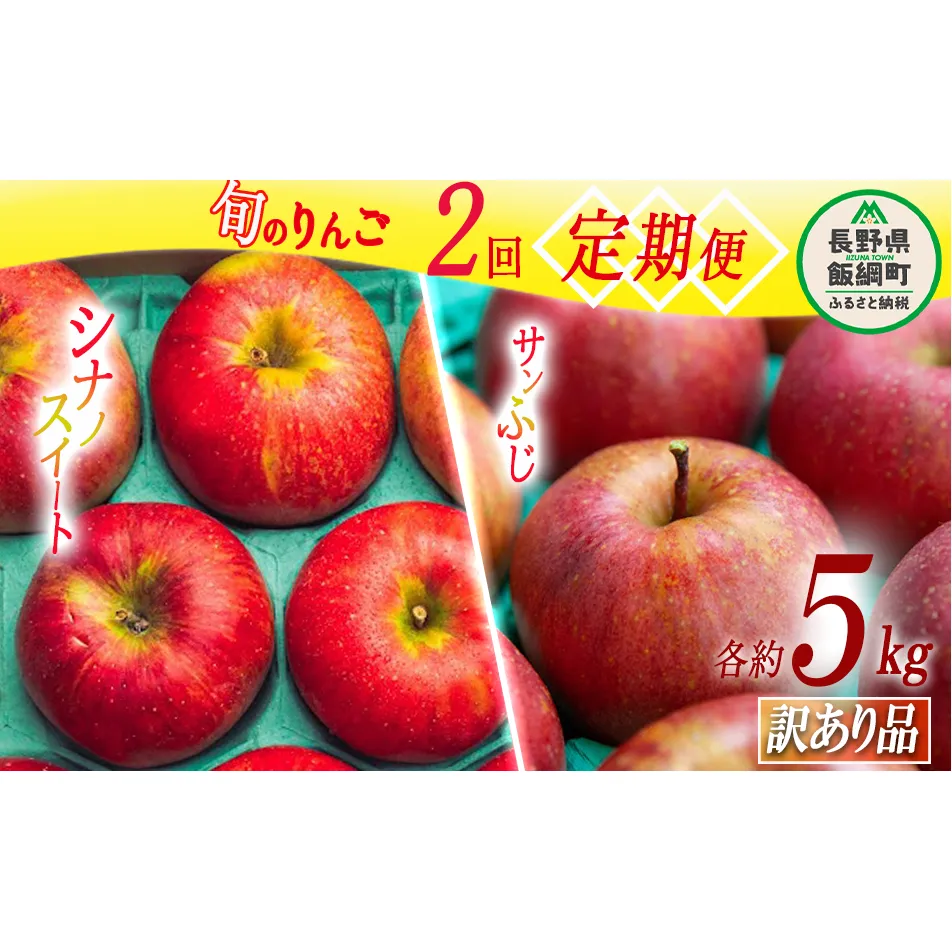 旬のりんご 【 定期便 】 訳あり 5kg × 2回 原山農園 沖縄県への配送不可 2025年10月中旬頃から2025年12月下旬頃まで順次発送予定 令和7年度収穫分 シナノスイート サンふじ 長野県 飯綱町 [1826]