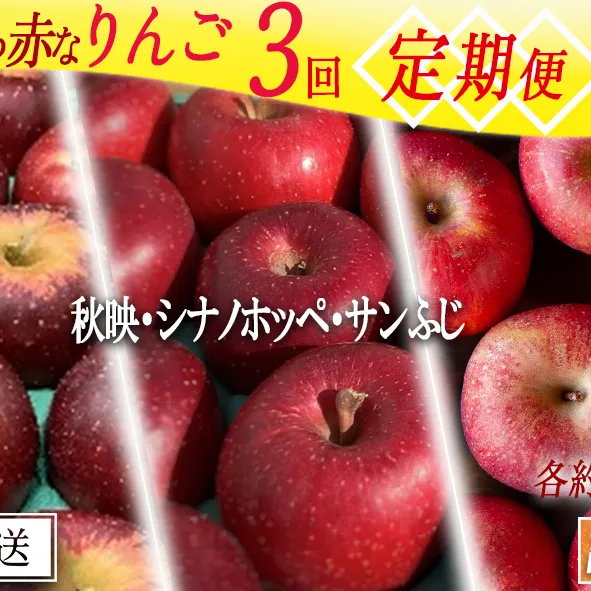 旬の赤いりんご 【 定期便 】 訳あり 3kg × 3回 ( 秋映 ホッペ ふじ ) ファームトヤ 沖縄県への配送不可 2024年10月上旬頃から2024年12月下旬頃まで順次発送予定 令和6年度収穫分 信州 果物 フルーツ リンゴ 林檎 長野 28500円 予約 農家直送 長野県 飯綱町 [1837]