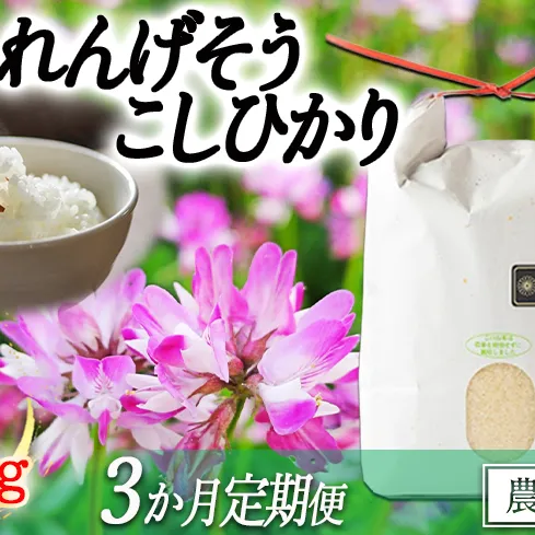 米 れんげそう こしひかり  5kg 【3カ月定期便】( 令和6年産 ) 特別栽培米 なかまた農園 2024年10月上旬頃からお申込み順に発送予定 長野県 飯綱町 [1835]