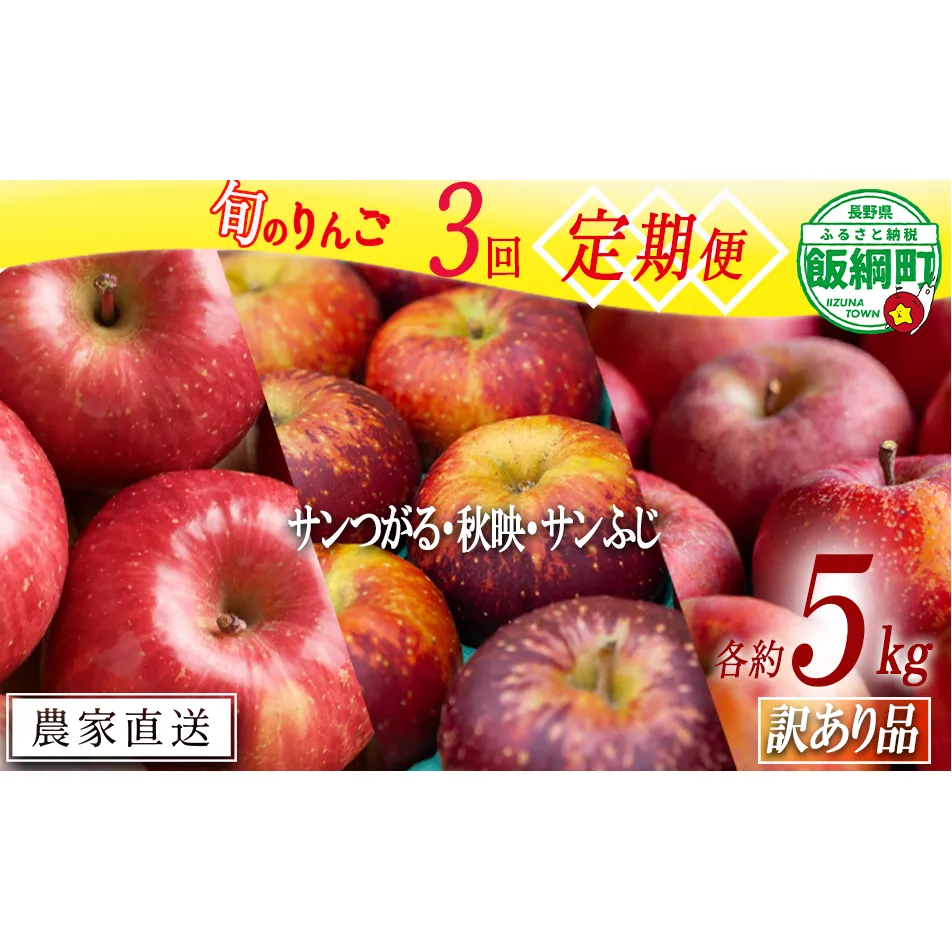 旬のりんご 【 定期便 】 訳あり 4.5kg～5kg × 3回 松橋りんご園 沖縄県への配送不可 2025年9月上旬頃から2025年12月下旬頃まで順次発送予定 令和7年度収穫分 フルーツ リンゴ 信州 長野県 飯綱町 [1840]