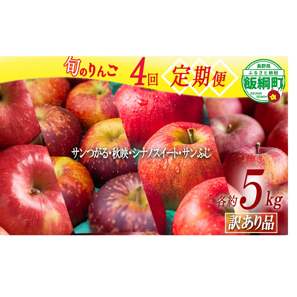 旬のりんご 【 定期便 】 訳あり 4.5kg～5kg × 4回 松橋りんご園 沖縄県への配送不可 2026年9月上旬頃から2026年12月下旬頃まで順次発送予定 令和8年度収穫分 フルーツ リンゴ 信州 長野県 飯綱町 [1840]