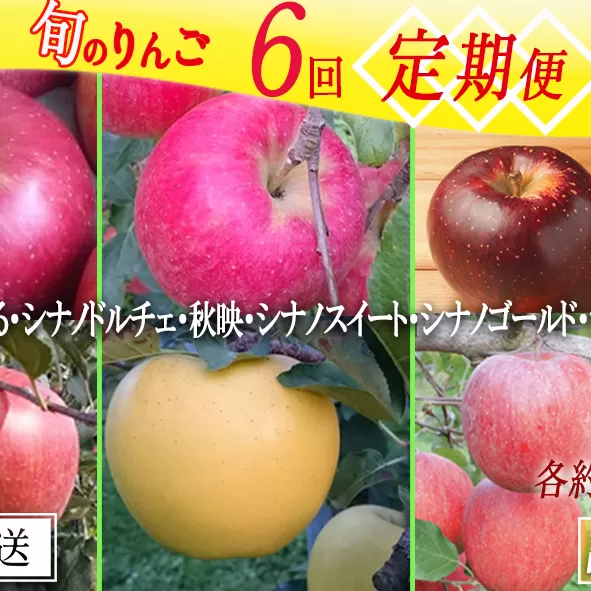 旬のりんご 【 定期便 】 訳あり 5kg × 6回 マルヤマフルーツ農園 沖縄県への配送不可 2024年9月上旬頃から12月中旬頃までお申込み順に発送予定 令和6年度収穫分 減農薬栽培 ( 除草剤 化学肥料 不使用 ) 長野県 飯綱町 [1081]