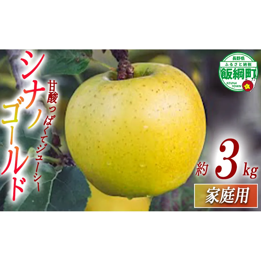 りんご シナノゴールド 家庭用 3kg 相澤農園 2025年11月上旬頃から2026年2月上旬頃まで順次発送予定 沖縄県への配送不可 令和7年度収穫分 長野県 飯綱町 [1852]