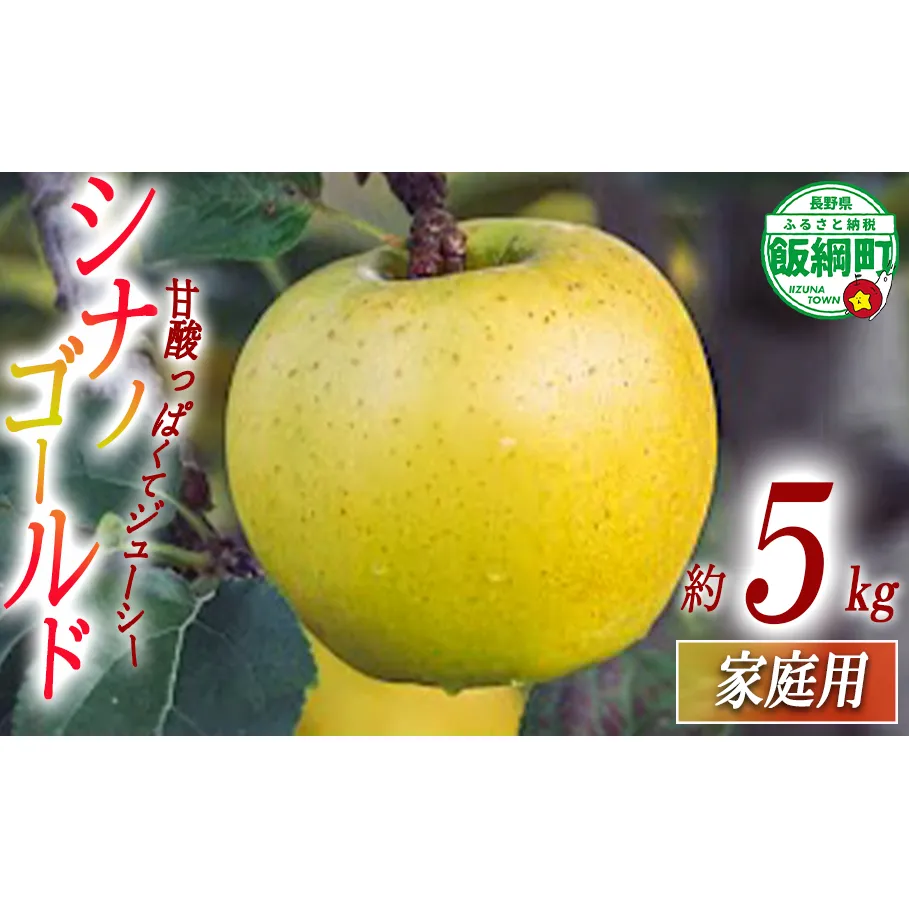 りんご シナノゴールド 家庭用 5kg 相澤農園 2025年11月上旬頃から2026年2月上旬頃まで順次発送予定 沖縄県への配送不可 令和7年度収穫分 長野県 飯綱町 [1853]
