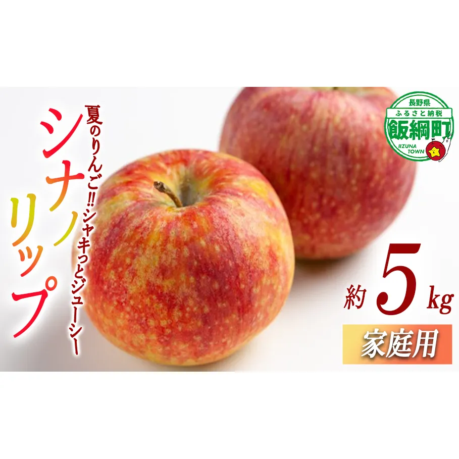 りんご シナノリップ 家庭用 5kg 相澤農園 沖縄県への配送不可 2025年8月中旬頃から2025年9月上旬頃まで順次発送予定 令和7年度収穫分 長野県 飯綱町 [1846]