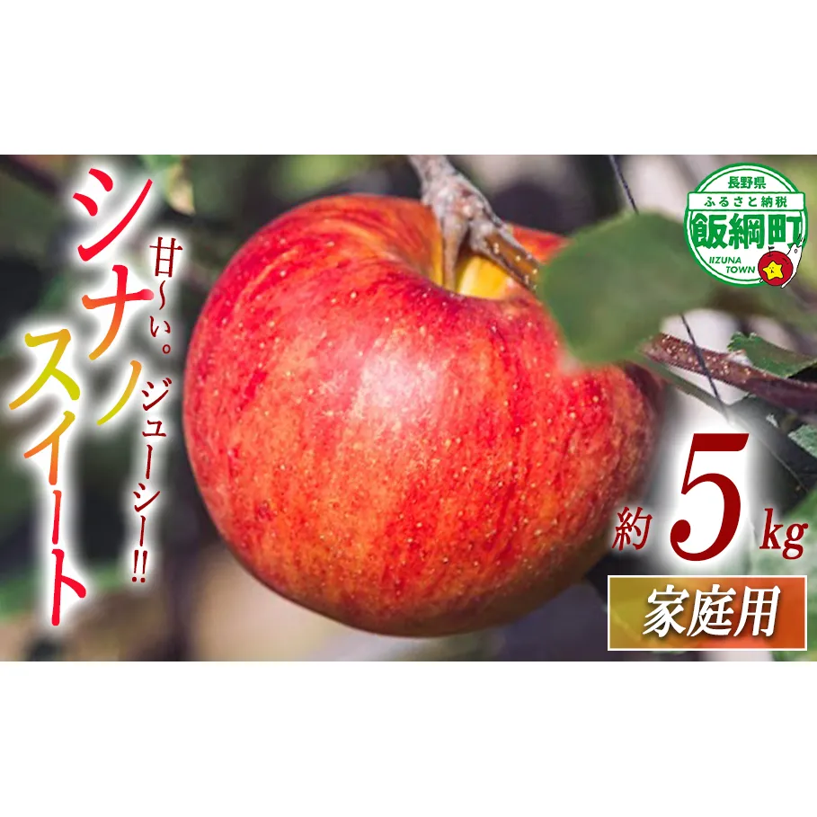 りんご シナノスイート 家庭用 5kg 相澤農園 沖縄県への配送不可 2025年10月中旬頃から2025年11月上旬頃まで順次発送予定 令和7年度収穫分 長野県 飯綱町 [1848]