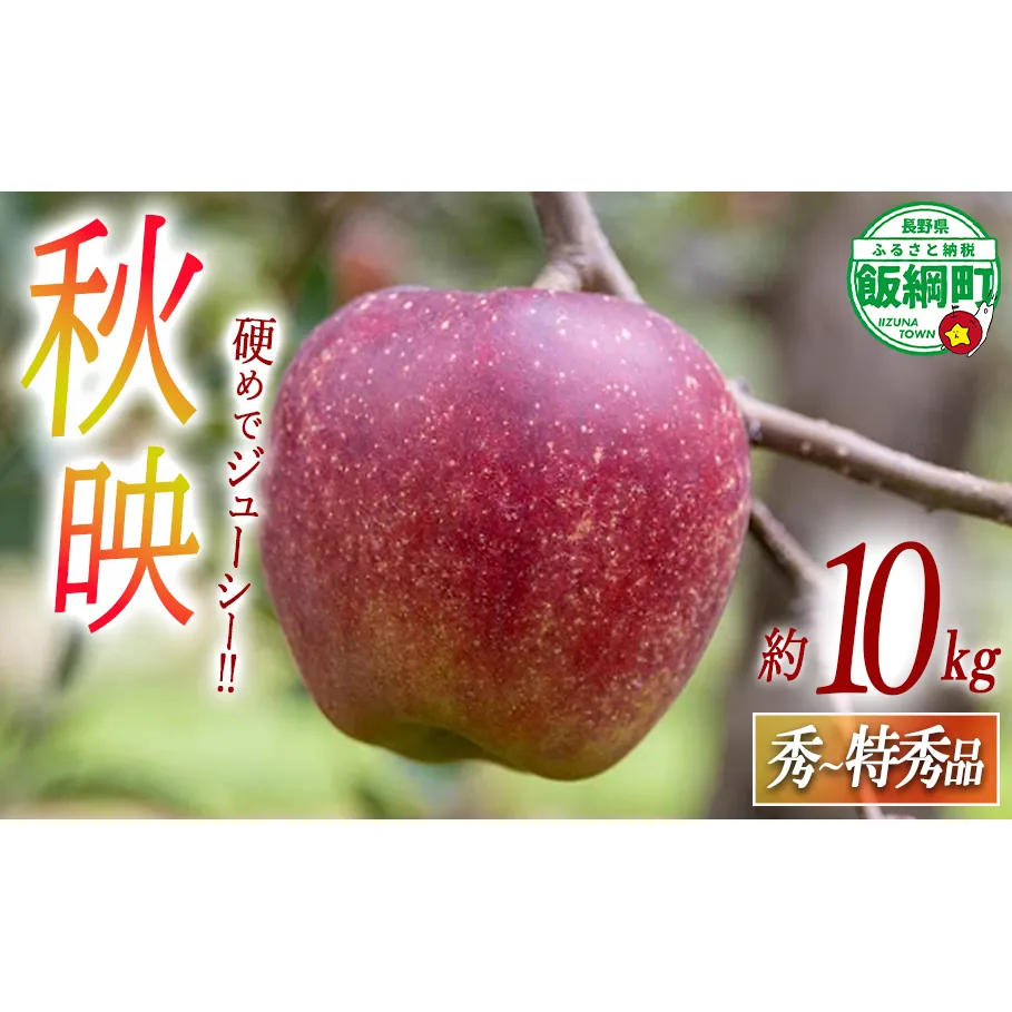 りんご 秋映 秀 〜 特秀 10kg 永正の地蔵尊神谷農園 2025年10月上旬頃から2025年12月上旬頃まで順次発送予定 令和7年度収穫分 信州 果物 フルーツ リンゴ 林檎 長野 25500円 予約 農家直送 長野県 飯綱町 [1862]