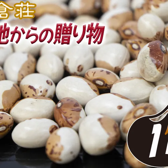 信州産 虎豆 1000g 1kg 上倉荘 沖縄県への配送不可 長野県 飯綱町 〔 信州 お豆 まめ マメ 野菜 9500円 〕発送時期：2024年10月中旬～2025年2月上旬 [1859]