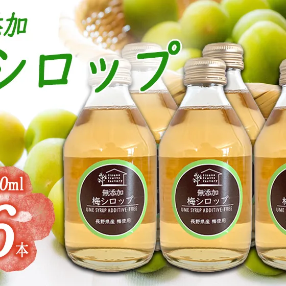 梅シロップ 230mL × 6本 ふるさと振興公社 沖縄県への配送不可  長野県産 梅 シロップ 長野県 飯綱町 [1871] 
