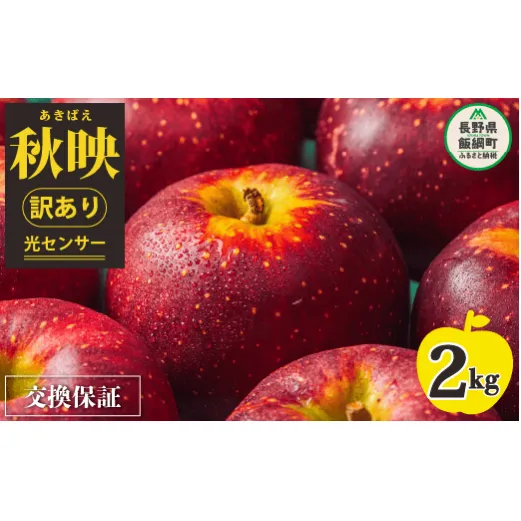 りんご 2kg 【令和6年度先行予約】 果物 訳あり 秋映 長野 感謝りんご 交換保証 規格外 傷あり 2キロ (5から12玉) R6年10月頃から順次発送 長野県飯綱町 [1866]