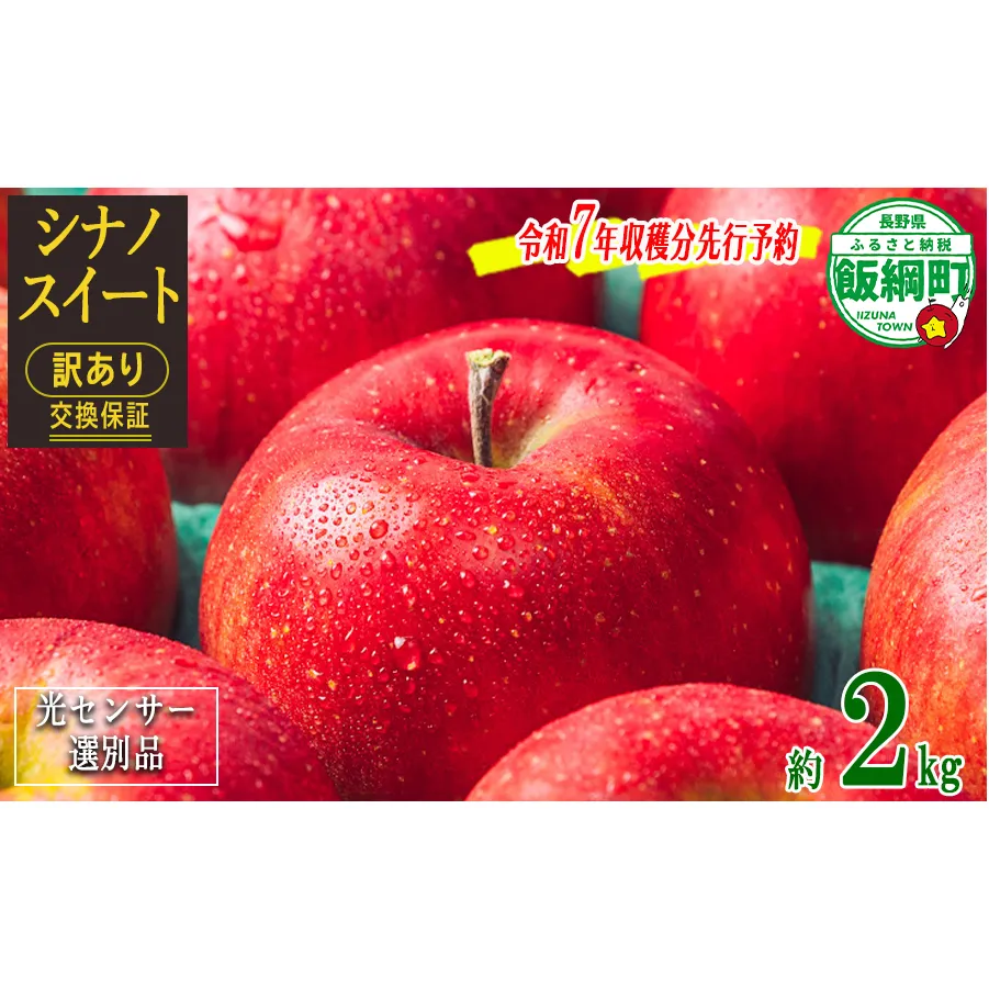 りんご 2kg 【令和7年度先行予約】 果物 訳あり シナノスイート 長野 感謝りんご 交換保証 規格外 傷あり 2キロ (5から12玉) R7年10月頃から順次発送 沖縄県への配送不可 長野県 飯綱町[1867]