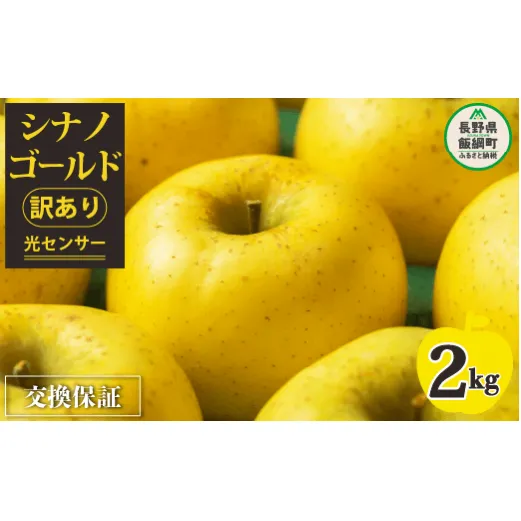 りんご 2kg 【令和6年度先行予約】 果物 訳あり シナノゴールド 長野 感謝りんご 交換保証 規格外 傷あり 2キロ (5から12玉) R6年11月頃から順次発送 飯綱町[1868]