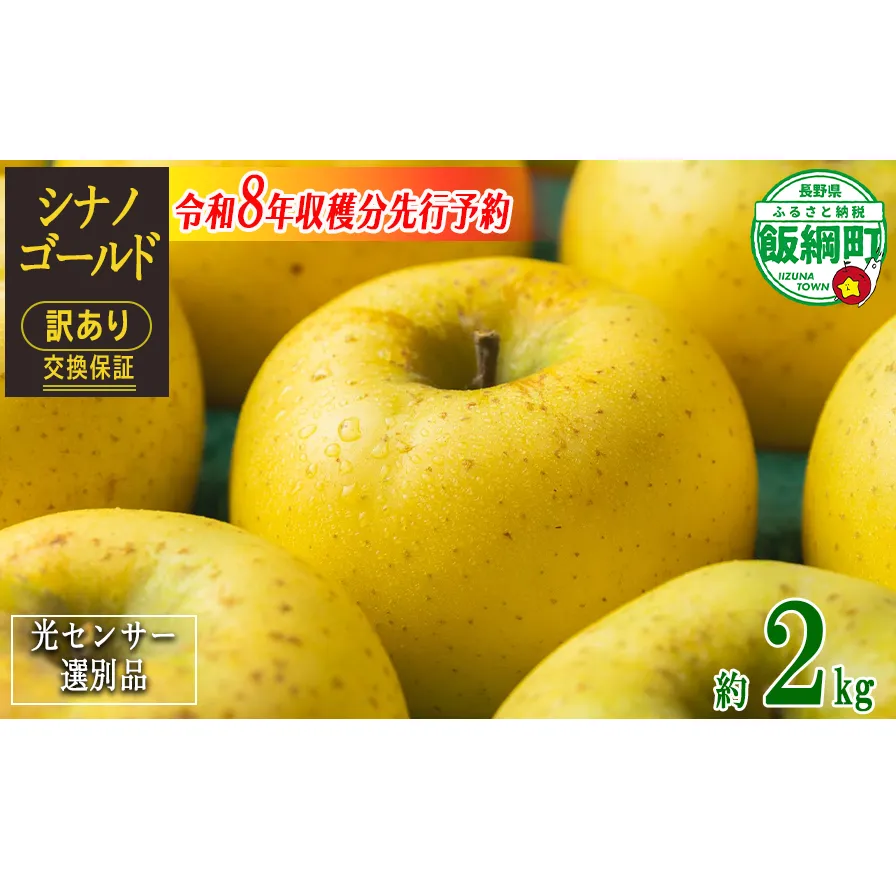 【 感謝りんご / 光センサー選別品 】 りんご シナノゴールド 訳あり 2kg （ 5玉 〜 12玉 ） 交換保証 ながの農業協同組合 沖縄県への配送不可 2026年11月上旬頃から2026年11月下旬頃まで順次発送予定 令和8年度収穫分 傷 不揃い リンゴ 林檎 果物 フルーツ 信州 長野 予約 長野県 飯綱町 [1868]