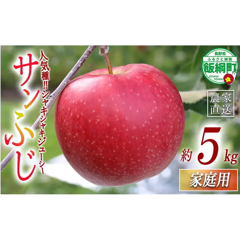 りんご サンふじ 家庭用 5kg 一里山農園 沖縄県への配送不可 2026年12月上旬頃から2026年12月中旬頃まで順次発送予定 令和8年度収穫分 エコファーマー 減農薬栽培 信州 果物 フルーツ リンゴ 林檎 長野 予約 農家直送 長野県 飯綱町 [1898]