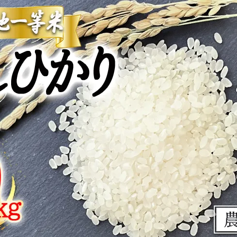 米 東風の里 コシヒカリ 10kg 令和6年産 特A地一等米 東風の会 2024年12月上旬頃から順次発送予定 お米 こしひかり 20500円 信州 長野県 飯綱町 [1912]
