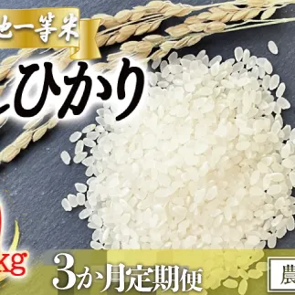【令和6年度収穫分】東風の里 こしひかり 10kg×3回【3ヶ月定期便】 2024年12月上旬頃から順次発送予定 白米 特A地一等米 コシヒカリ 長野県 飯綱町 [1913]