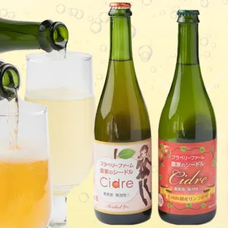 ブラベリーファーム　オリジナルシードル ＜飲みくらべセット＞ 750ｍL×2本　長野県 飯綱町 [1761]