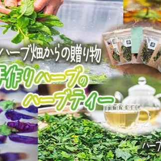ハーブティー 6袋 ( 30g ) 種類おまかせ 飯綱ハーバルブリーズ 長野県 飯綱町 [1923]
