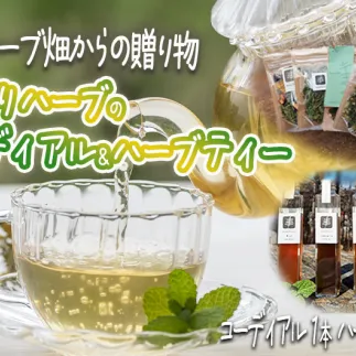 コーディアル 1本 + ハーブティー 1袋 種類おまかせ 飯綱ハーバルブリーズ 長野県 飯綱町 [1928]