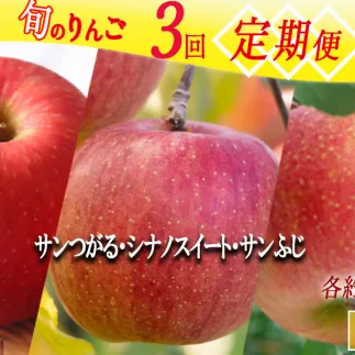 季節のりんご 【定期便】 旬の3品種 3kg × 3回 家庭用 マルハ農園 沖縄へは配送不可  2025年9月上旬から発送予定 長野県 飯綱町 [1932]