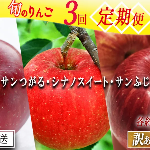季節のりんご 【定期便】 旬の3品種 3kg × 3回 訳あり 家庭用 静谷りんご園 沖縄へは配送不可  2025年9月上旬から発送予定 長野県 飯綱町 [1942]