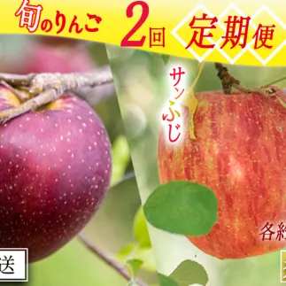 季節のりんご 【定期便】 旬の2品種 5kg × 2回 秀～特秀 渡辺農園 沖縄へは配送不可  2025年10月上旬から発送予定 長野県 飯綱町 [1936]