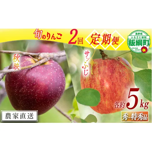 季節のりんご 【定期便】 旬の2品種 5kg × 2回 秀～特秀 渡辺農園 沖縄へは配送不可  2025年10月上旬から発送予定 長野県 飯綱町 [1936]