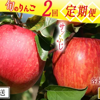 季節のりんご 【定期便】 旬の2品種 5kg × 2回 家庭用 マルカズりんご農園 沖縄へは配送不可  2025年10月中旬から発送予定 長野県 飯綱町 [1935]