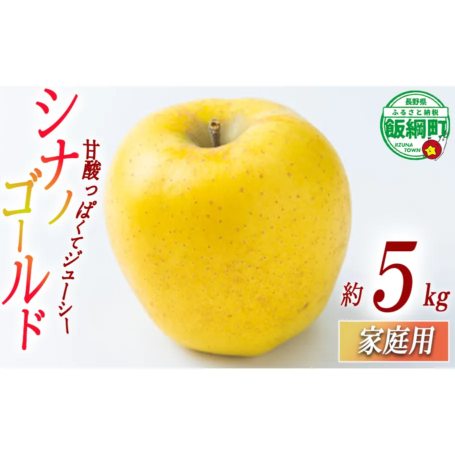 りんご シナノゴールド 5kg 家庭用 ふるさと振興公社  2025年11月上旬から発送予定 長野県 飯綱町 [2021]