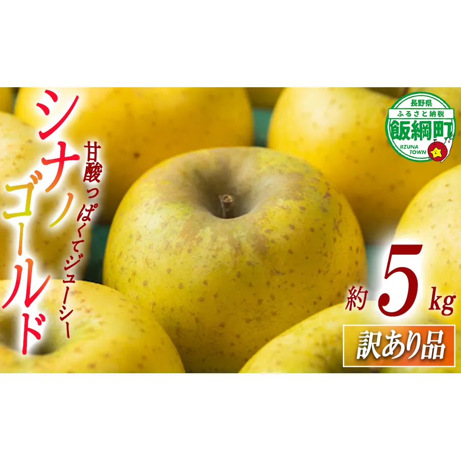りんご シナノゴールド 5kg 訳あり ふるさと振興公社 沖縄へは配送不可  2025年11月上旬から発送予定 長野県 飯綱町 [2022]