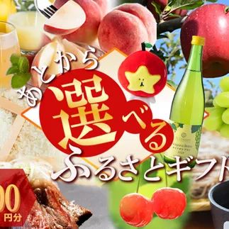 あとからセレクト 【ふるさとギフト】 ギフトポイント 寄附額 12000円分 あとから選べる返礼品 長野県 飯綱町 [2047]