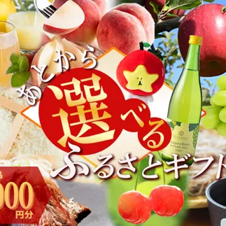 あとからセレクト 【ふるさとギフト】 ギフトポイント 寄附額 300000円分 あとから選べる返礼品 長野県 飯綱町 [2065]