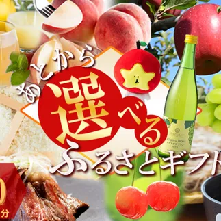 あとからセレクト 【ふるさとギフト】 ギフトポイント 寄附額 9000円分 あとから選べる返礼品 長野県 飯綱町 [2044]