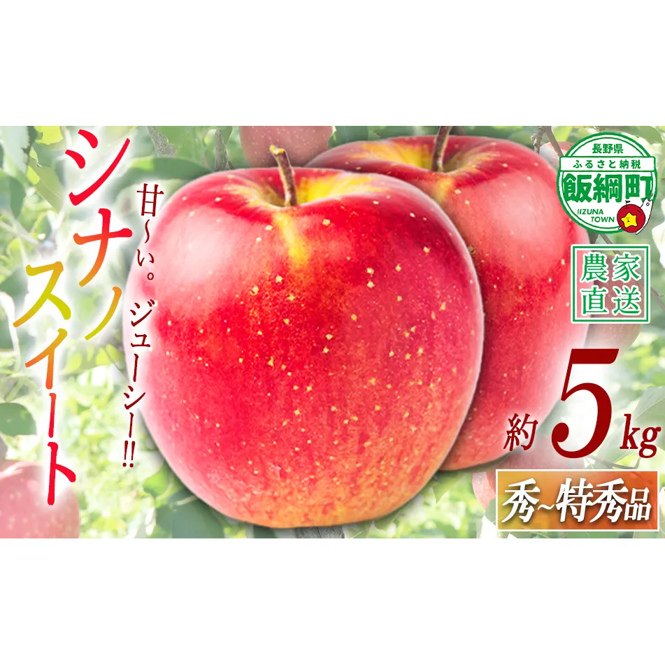 りんご シナノスイート 特秀 5kg 令和8年度収穫分 沖縄県への配送不可 2026年10月上旬頃から2026年10月中旬頃まで順次発送予定 宮本ファーム エコファーマー 減農薬栽培 長野県 飯綱町 [2091]