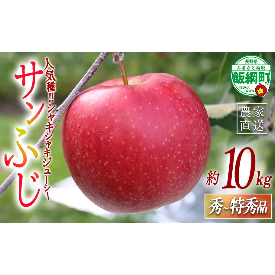りんご サンふじ 秀 ～ 特秀 10kg 一里山農園 2026年12月上旬頃から2026年12月中旬頃まで順次発送予定 令和8年度収穫分 エコファーマー 減農薬栽培 信州 果物 フルーツ リンゴ 林檎 長野 予約 農家直送 長野県 飯綱町 [2104]