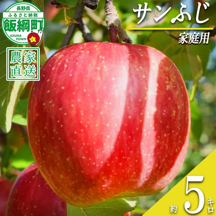 りんご サンふじ 家庭用 5kg 丸山りんご園 沖縄県への配送不可 2026年12月上旬頃から2027年1月上旬頃まで順次発送予定 令和8年度収穫分 信州 果物 フルーツ リンゴ 林檎 長野 予約 農家直送 長野県 飯綱町 [0710]