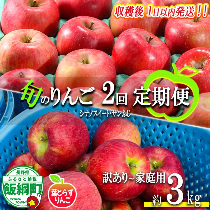 【 定期便 / フレッシュ便 】 旬のりんご 家庭用 〜 訳あり 3kg × 2回 葉とらずりんご フレッシュフルーツミカズキ 沖縄県への配送不可 2026年10月中旬頃から2026年12月中旬頃までお申込み順に発送予定 令和8年度収穫分 リンゴ アップル シナノスイート サンフジ サンふじ 長野県 飯綱町 [2010]