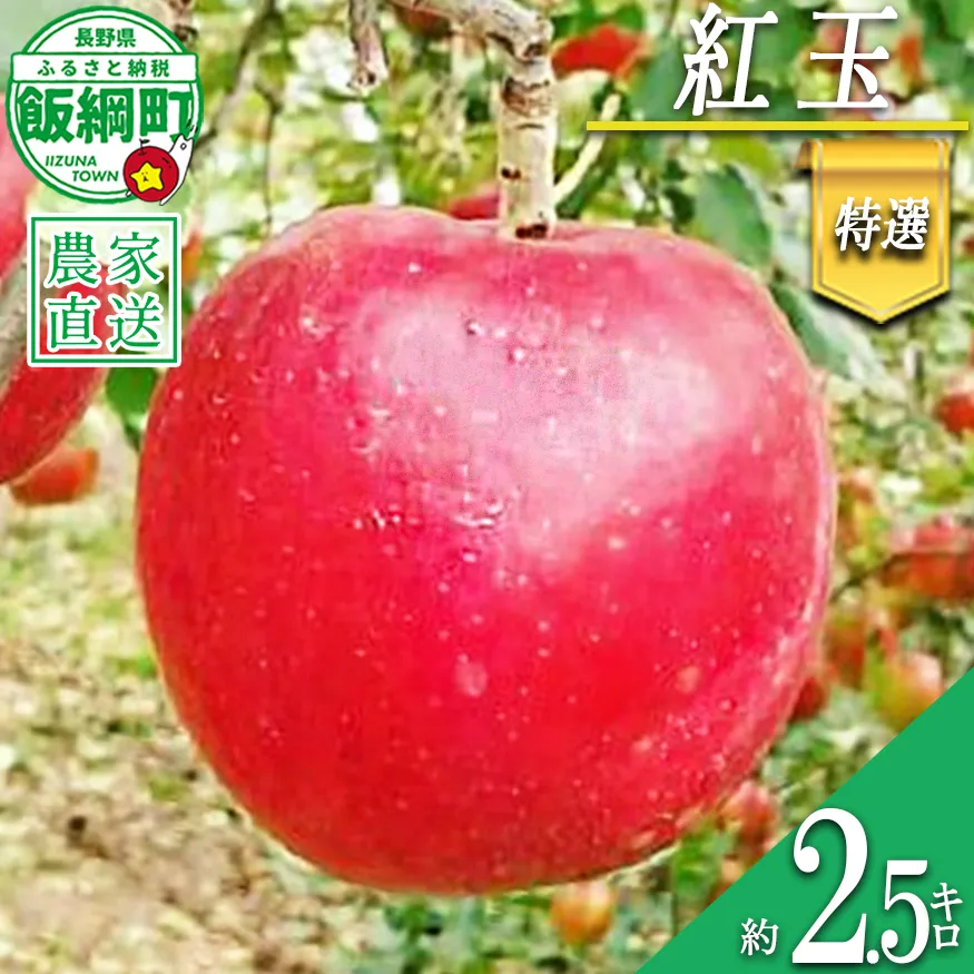 りんご 紅玉 特選 2.5kg やまじゅうファーム 沖縄県への配送不可 2026年10月上旬頃から2026年10月中旬頃まで順次発送予定 令和8年度収穫分 信州の環境にやさしい農産物 減農薬栽培 長野県 飯綱町 [1536]