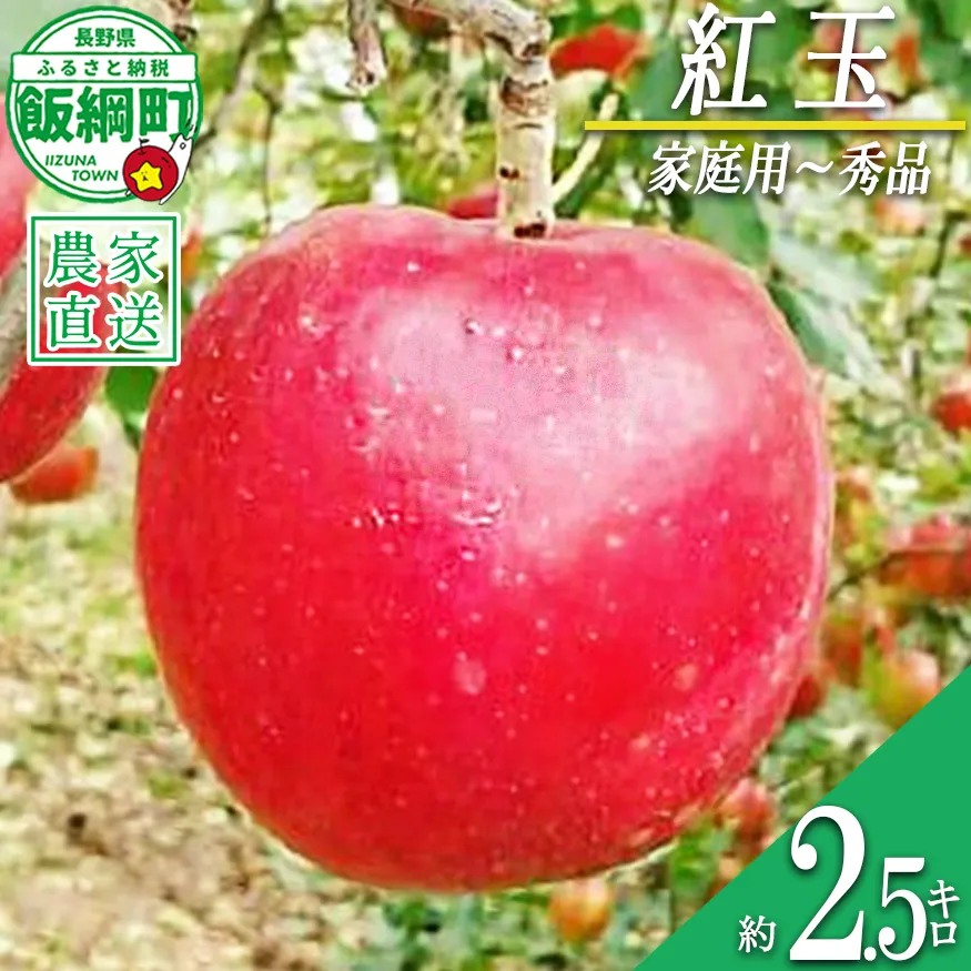 りんご 紅玉 家庭用 〜 秀 2.5kg やまじゅうファーム 沖縄県への配送不可 2026年10月上旬頃から2026年10月旬下旬頃まで順次発送予定 令和8年度収穫分 信州の環境にやさしい農産物 減農薬栽培 長野県 飯綱町 [2117]