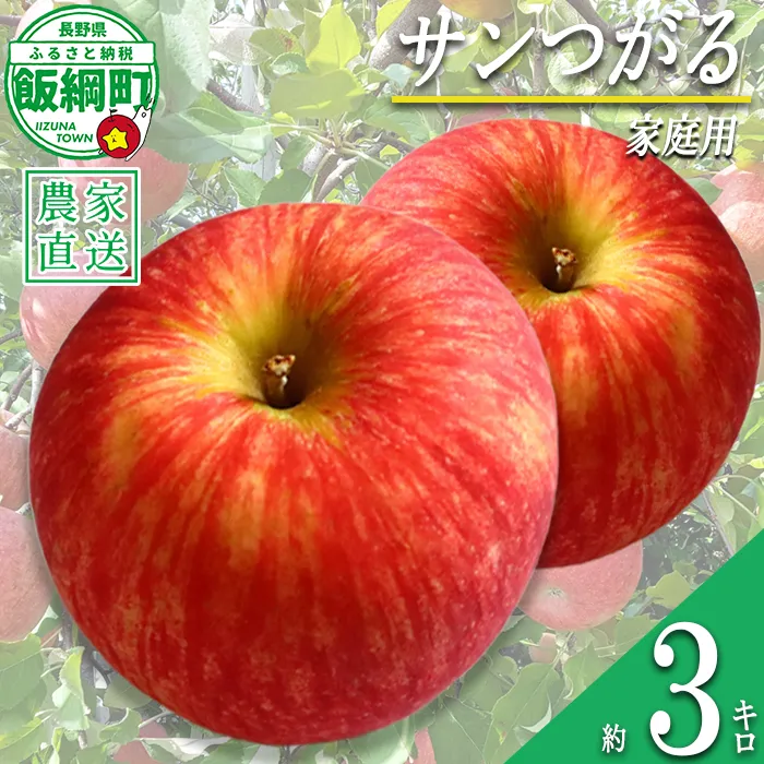 りんご サンつがる 家庭用 3kg 永野農園 沖縄県への配送不可 2026年8月下旬頃から2026年9月中旬頃まで順次発送予定 令和8年度収穫分 信州 果物 フルーツ リンゴ 林檎 長野 予約 農家直送 長野県 飯綱町 [0487]