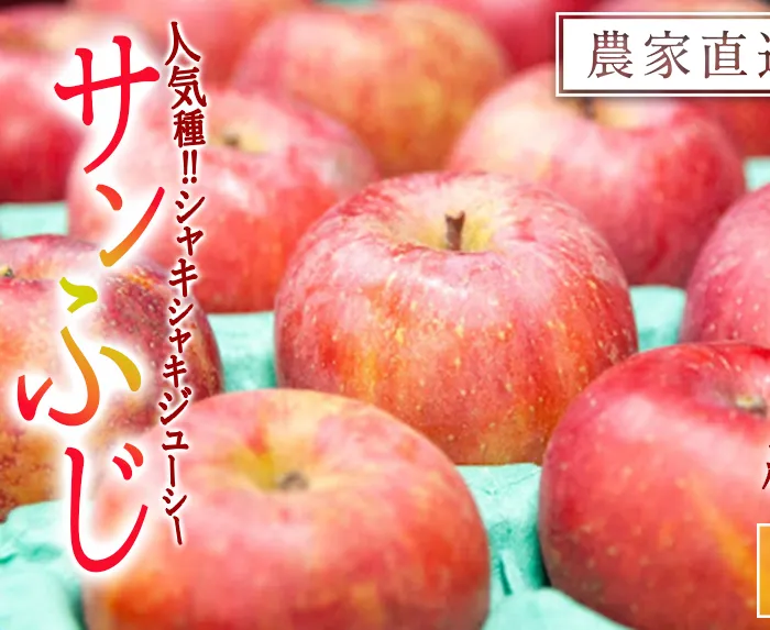 【 年明け発送 】 りんご サンふじ 訳あり 5kg 永野農園 沖縄県への配送不可 2027年1月上旬頃から2027年2月中旬頃まで順次発送予定 令和8年度収穫分 信州 果物 フルーツ リンゴ 林檎 長野 予約 農家直送 長野県 飯綱町 [0600]