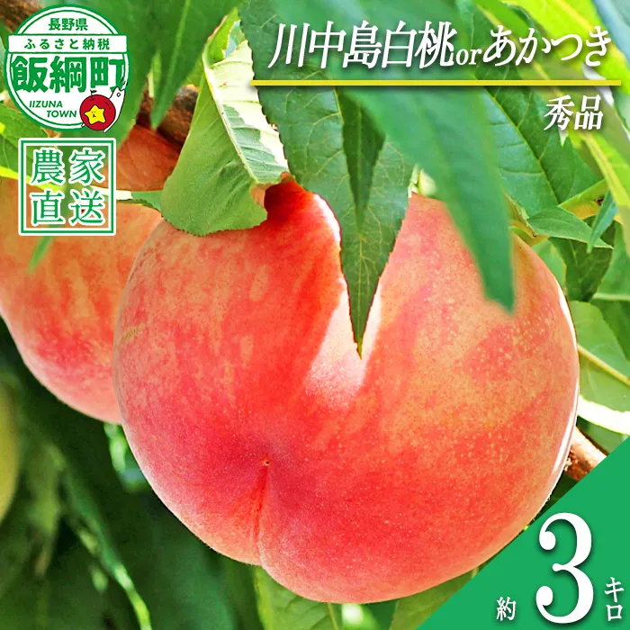 もも 旬の桃 秀品 約 3kg ( 品種おまかせ ) 永正の地蔵尊神谷農園 配送先は本州限定 2026年8月中旬頃から2026年9月上旬頃まで順次発送予定 令和8年度収穫分 信州 果物 フルーツ モモ 桃 長野 予約 農家直送 長野県 飯綱町 [0772]