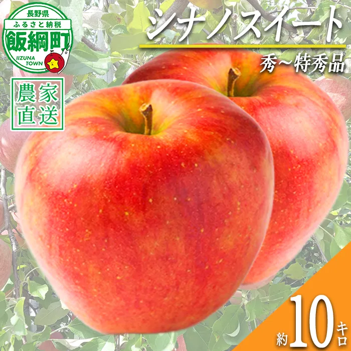 りんご シナノスイート 秀 ～ 特秀 10kg 永正の地蔵尊神谷農園 2026年10月上旬頃から2026年12月上旬頃まで順次発送予定 令和8年度収穫分 信州 果物 フルーツ リンゴ 林檎 長野 予約 農家直送 長野県 飯綱町 [0442]