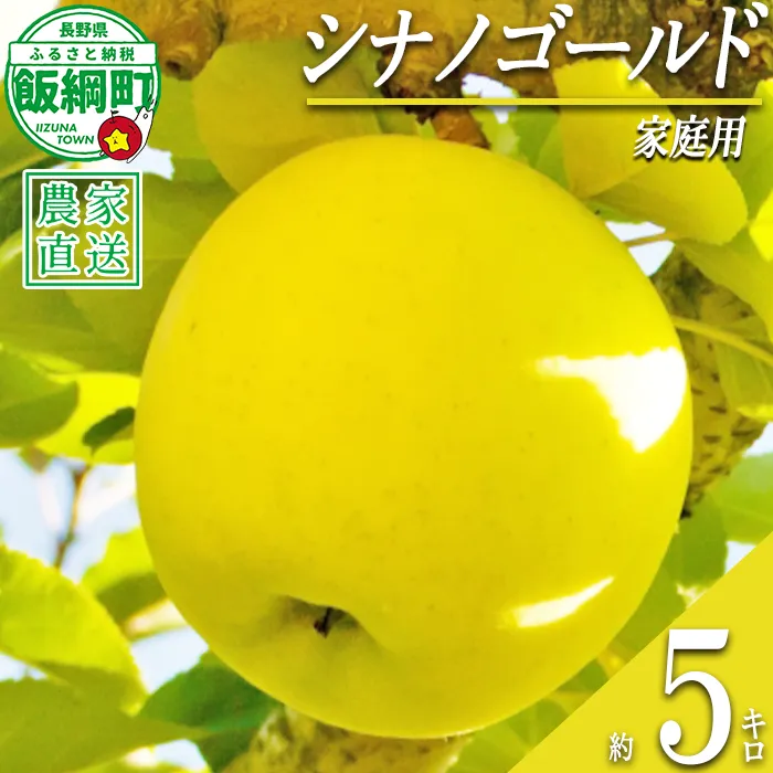 りんご シナノゴールド 家庭用 5kg 永正の地蔵尊神谷農園 沖縄県への配送不可 2026年11月中旬頃から2026年12月下旬頃まで順次発送予定 令和8年度収穫分 信州 果物 フルーツ リンゴ 林檎 長野 予約 農家直送 長野県 飯綱町 [1254]
