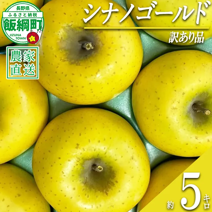 りんご シナノゴールド 訳あり 5kg アグリファーム小林 信州の環境にやさしい農産物認証 （ 長野県認証 No50-30-00064 ） 沖縄県への配送不可 2026年11月上旬頃から2026年11月下旬頃まで順次発送予定 令和8年度収穫分 長野県 飯綱町 [2127]