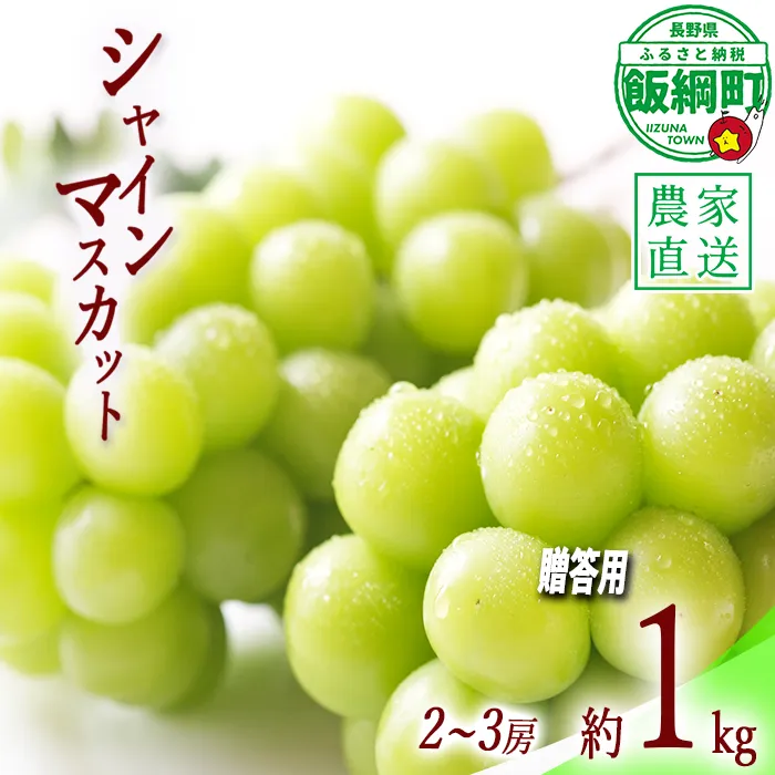 ぶどう シャインマスカット 贈答用 2房 〜 3房 ( 約 1kg ) ファームトヤ 配送先は本州限定 2026年9月中旬頃から2026年10月上旬頃まで順次発送予定 令和8年度収穫分 信州 果物 フルーツ ブドウ マスカット 葡萄 長野 予約 農家直送 長野県 飯綱町 [0877]