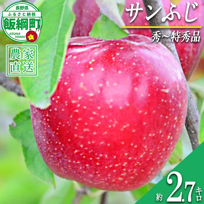 サンふじ 秀～特秀 2.7kg いいづな松橋園 2026年12月上旬頃から2026年12月下旬頃までお申込み順に発送予定 令和8年度収穫分 リンゴ アップル サンフジ サンふじ 長野県 飯綱町 [2135]