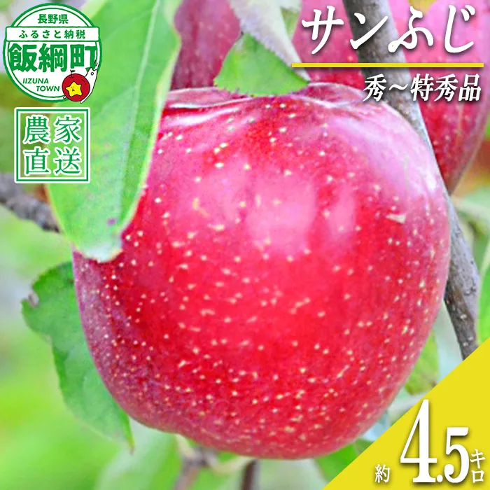 サンふじ 秀～特秀4.5kg いいづな松橋園 2026年12月上旬頃から2026年12月下旬頃までお申込み順に発送予定 令和8年度収穫分 リンゴ アップル サンフジ サンふじ 長野県 飯綱町 [2136]